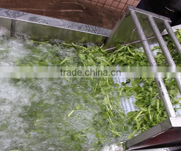 Automatic Vegetable Washing Machine,fruit Washing Equipment photo-4