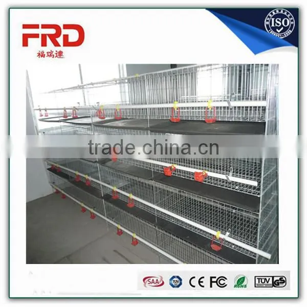 Trade Assurance 100% Payment Guarantee Factory Good Quality Poultry Battery Cage for Nigerian Farm photo-2