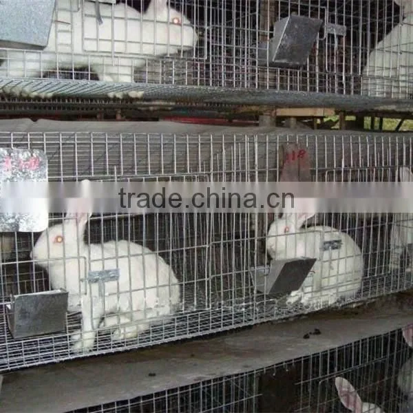 Galvanized Rabbit Cage From Dircet Factory photo-2