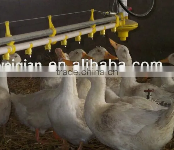 360 Degree Water Nipple Drinker for Chicken photo-2