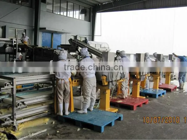 Frozen Sweet Corn Freezing Production Line for Industrial Use photo-5