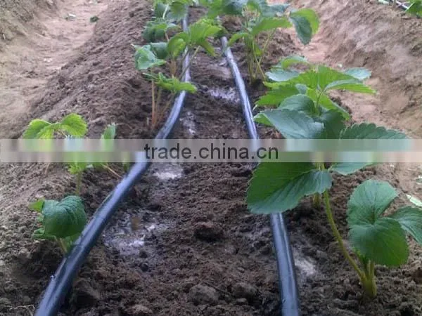 Drip Irrigation Pipe Price photo-4