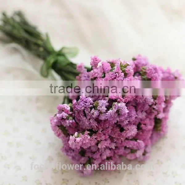 First Class Pink Statice Export Without Middleman For Home Decoration photo-5
