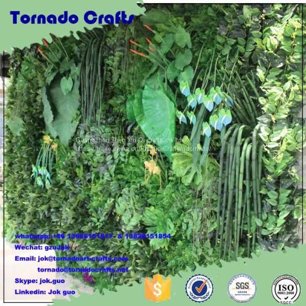 Tornado Crafts Wholesale Home Decor Plastic Vertical Green Wall System Customized Different Types of Green Wall photo-5