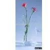 Glass Vase