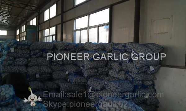 New Crop 5.5cm Normal White Fresh Garlic In 10 kg Mesh Bag Packing photo-5