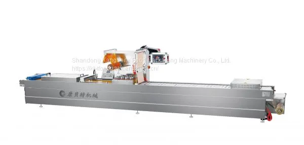 Thermoforming Packing Machine DRZ420 Automatic Packaging Machine for Food photo-4