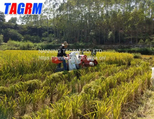 Agricultural Professional Supplier Mini Wheat Combine Harvester / Wheat Cutting Machine photo-2