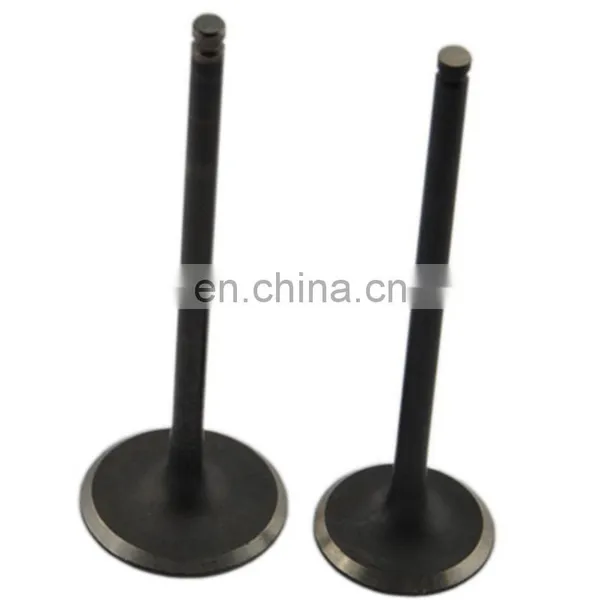 Japanese New Moto Spare Parts Intake Exhaust Engine Valves For Honda Wh100t-h-f-g SCR100 photo-4