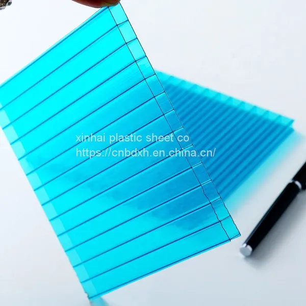 10 Years Warranty Twin Wall Polycarbonate Hollow Sheets