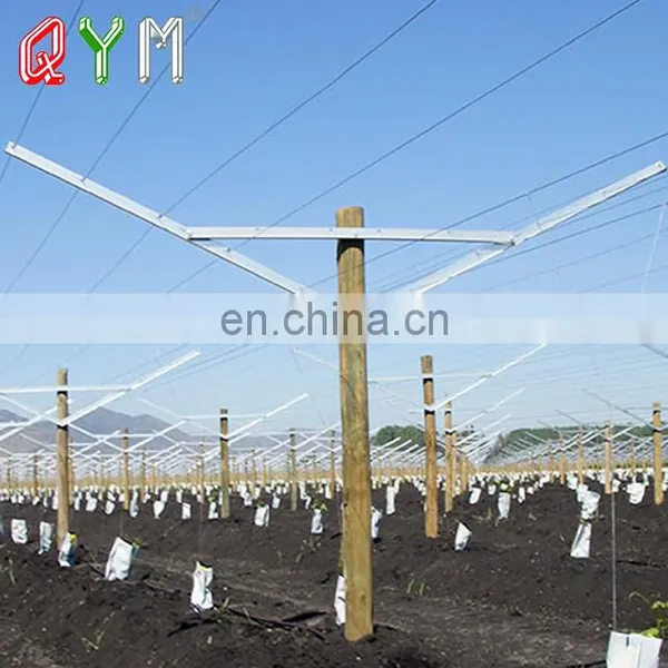 Chile Market Vine Open Gable Trellis Post photo-4