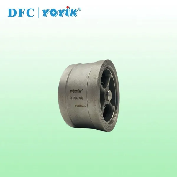 China Supplier Check Valve Cast Iron 216C65 Power Plant Spare Parts