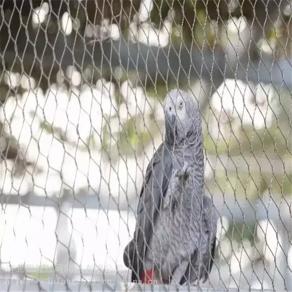 Stainless Steel Bird Protective Cage Fence Garden Wire Rope Cable Mesh Netting photo-3