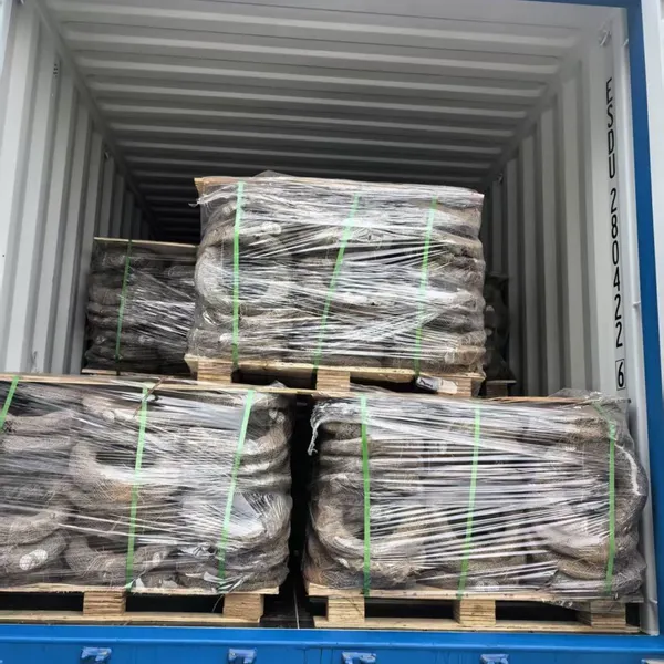 Galvanized Black Iron Wire 12 Gauge for Construction Reinforcement photo-4