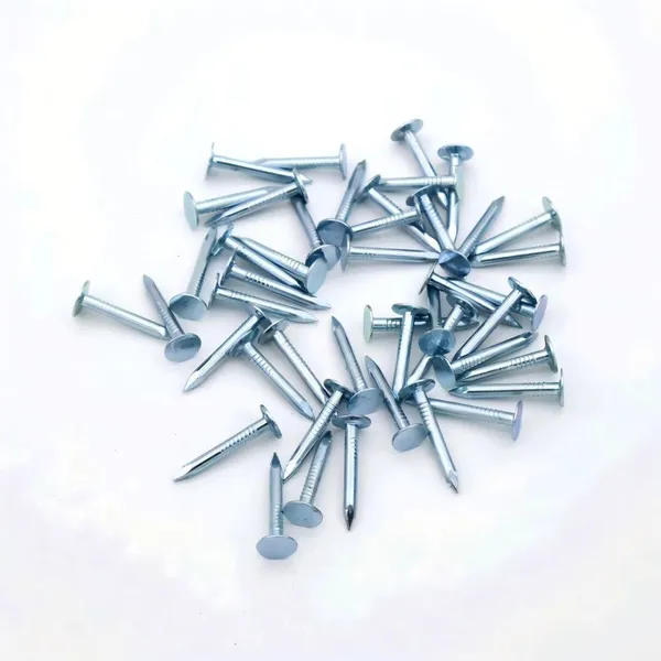China Factory OEM Flat Head Roofing Nails 25kg Bulk With Mill Test Report photo-4