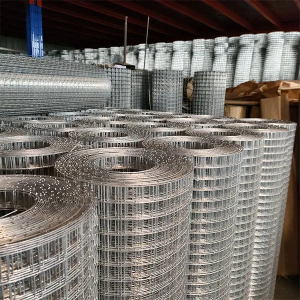 Galvanized+PVC Coated Welded Wire Mesh Rolls - Square Hole Design photo-5