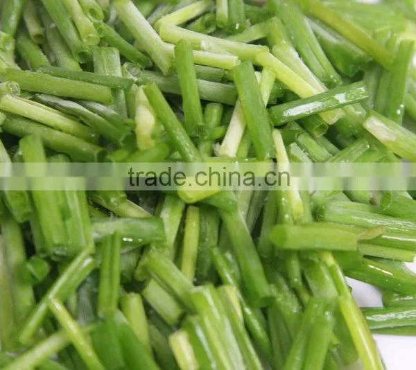 IQF Chopped Chives, Fresh Chives 2015