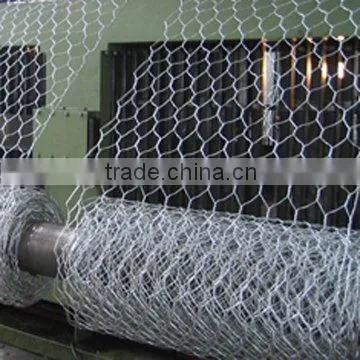 Hexagonal Wire Netting ] Hexagonal Wire Mesh ] Chicken Wire Mesh ] Poulty Wire Mesh