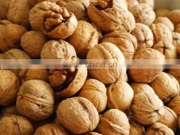 Walnut kernel and shell whole Walnuts for sale