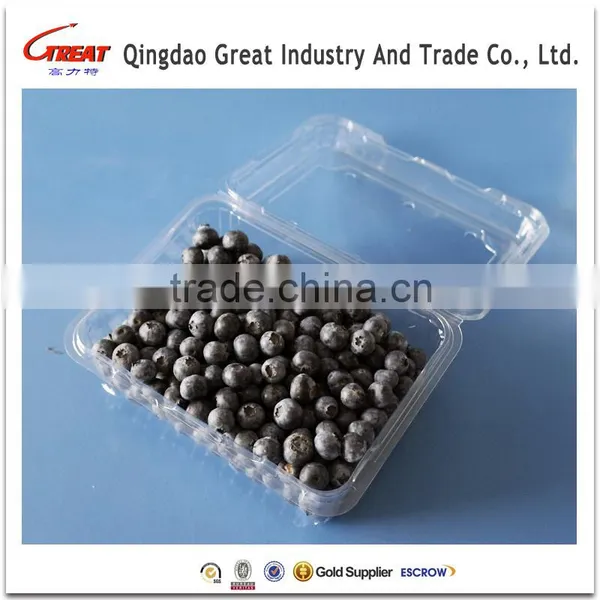 2016 HOT Sale for Manufacture Plastic Packaging Boxes for Fruit Blueberry photo-2