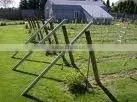 Fencing Post/vineyard Stakes