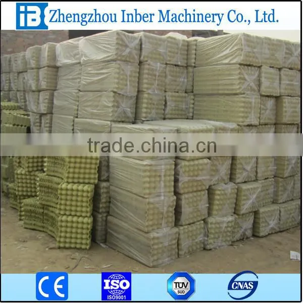 Recycling Machine Making Egg Carton photo-6