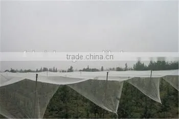Woven Fabric Netting to Protect Apple Tree From Hail,insect Bit,anti-birds photo-2