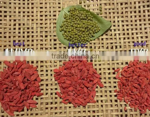 Organic Goji Berries photo-6