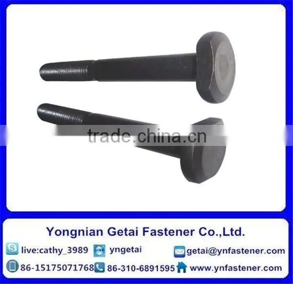 T Shape Bolts for Slot, DIN933/931 H.D.G / Galvanized With Black /yellow Zinc Plated/blue White photo-5