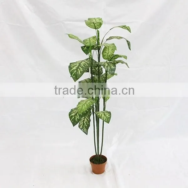 Cheap House Decorative Artificial Dieffenbachia Plant Tree for Sale photo-2