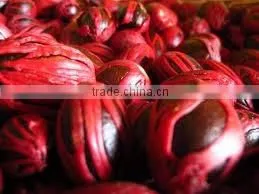 Mace Powder