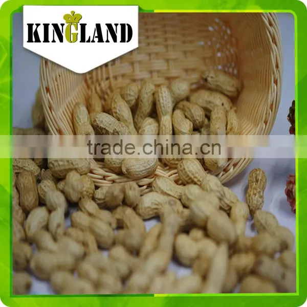 Peanut in Shell Processing photo-5