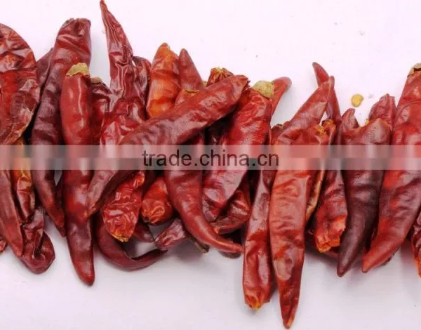 Premium Quality Indian Dry Red Chilli Exporters photo-5