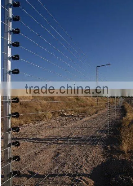 High Quality Electric Fence Energizer China Electric Fence photo-6
