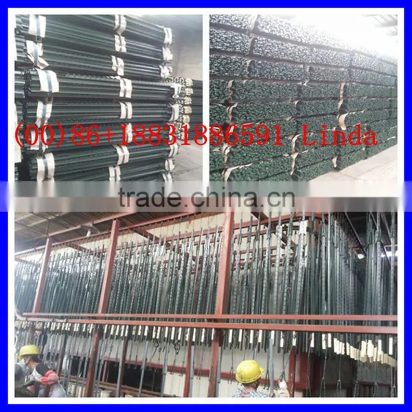 Cheap Fence t Posts ( Factory & Exporter ) photo-2