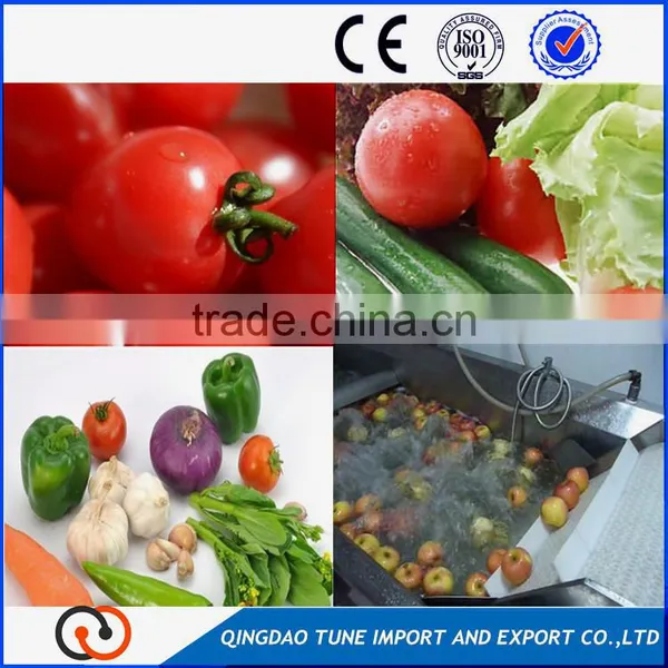 Shandong Fruits Motorcycle Washing Machine photo-6