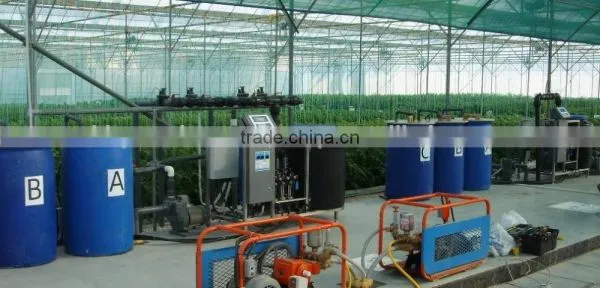 Commercial Greenhouse for Vegetable Production photo-2