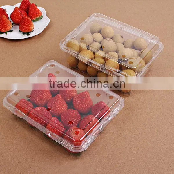 Rectangular Transparent 250g Fruit Storage Box Sealed Plastic Fresh Fruit Container With Lid photo-2