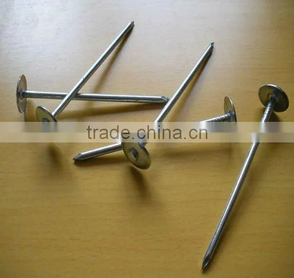 Bright Spike Nail photo-1