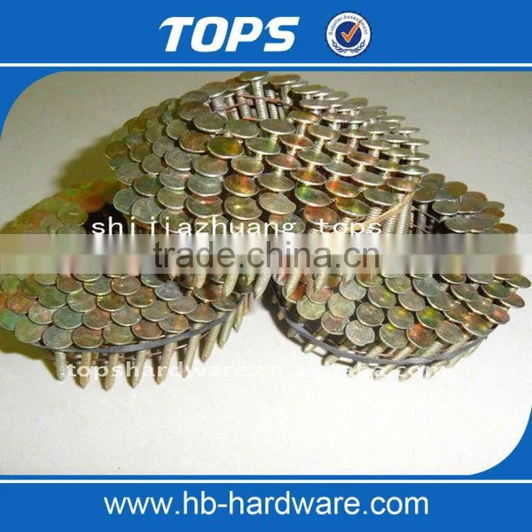 Really Manufacture Wire Coil Roofing Nails Screw Shank Blunt photo-4