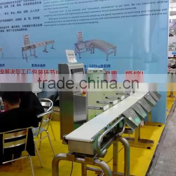 Conveyor Check Weigher.online Weigher Check Machine photo-5
