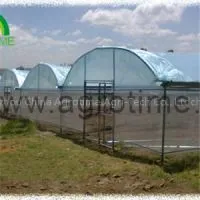 Mushroom Plastic Greenhouse