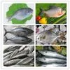 FROZEN HORSE MACKEREL photo-2