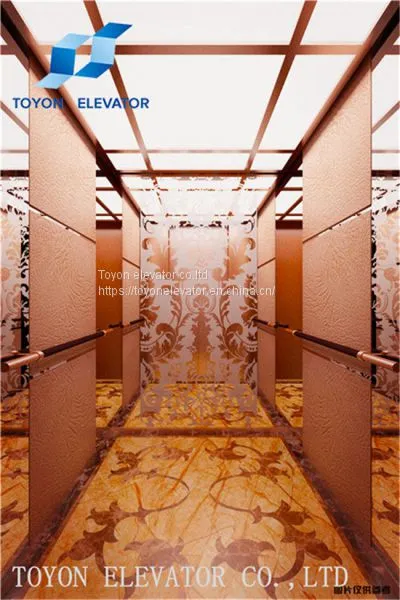 Toyon Residental Villa Elevator 2~3 Floor Without Room photo-2