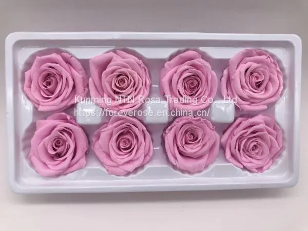 Preserved Flowers Wedding Bridal Bouquets Natural Eternal Roses photo-5
