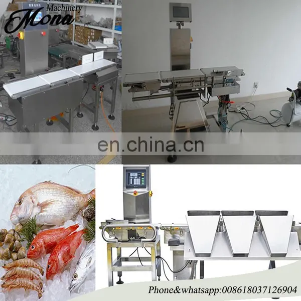 Customized Size Shrimp Grading Machine Seafood Weight Sorting Machine photo-5