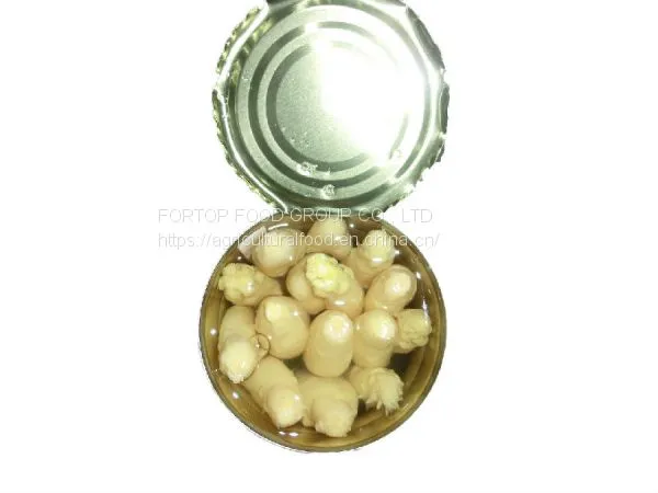 Factory Price Premium Fresh Canned White Asparagus Spear in Brine photo-3