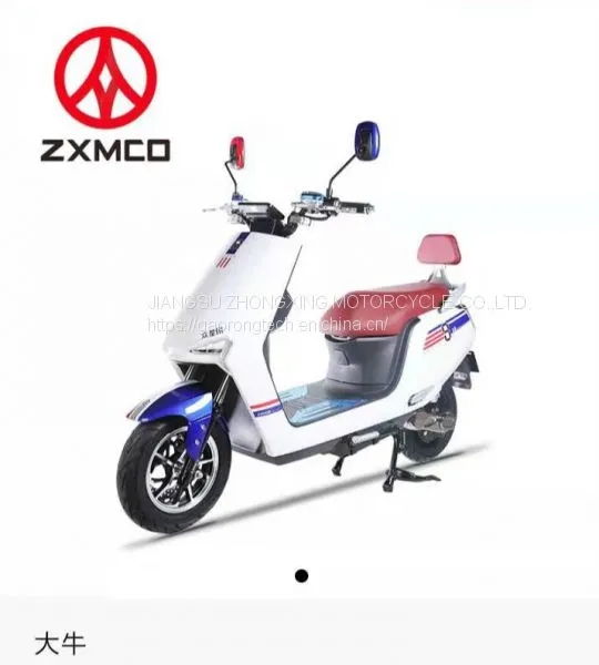 Electric Motorcycle Scooter Electric Bike