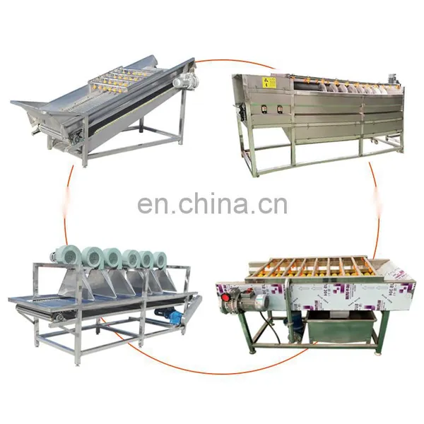 Vegetable Washing Cutting Drying Dehydrator Tray Carrot Drying Machine Cabbage Dryer photo-5