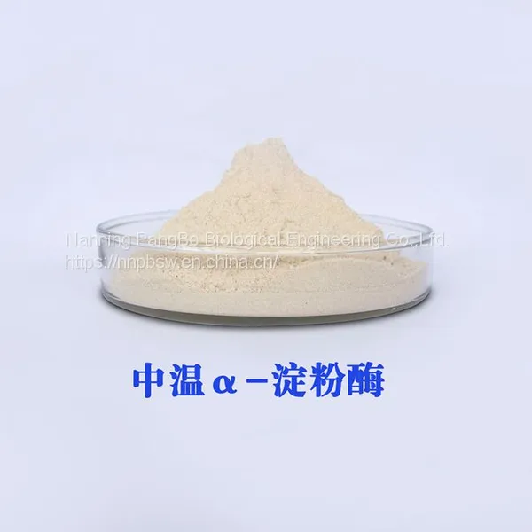 AMYLASE CAS：9001-19-8 Food Grade photo-2